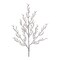Melrose Set of 12 Flocked Ice Christmas Branches 32"
